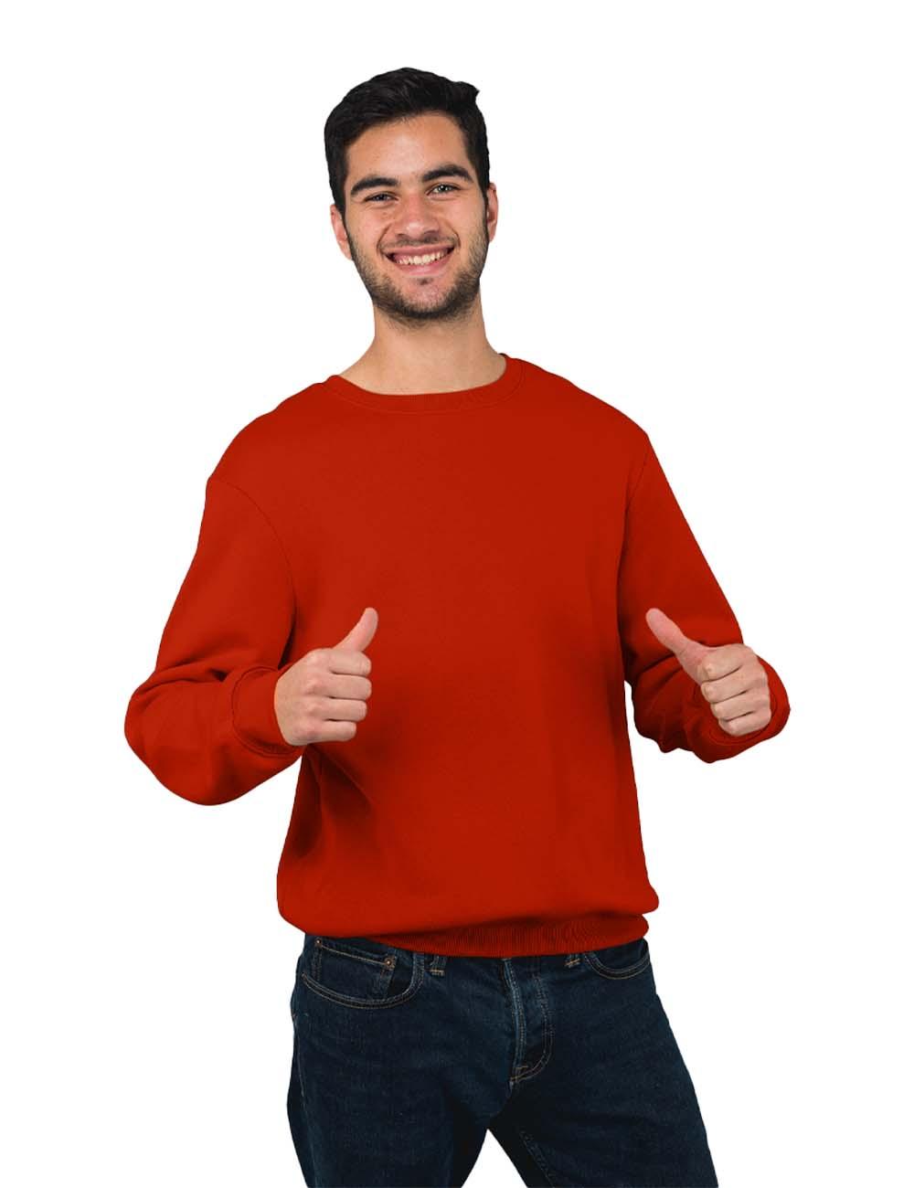 Mens Pullover - Teestra