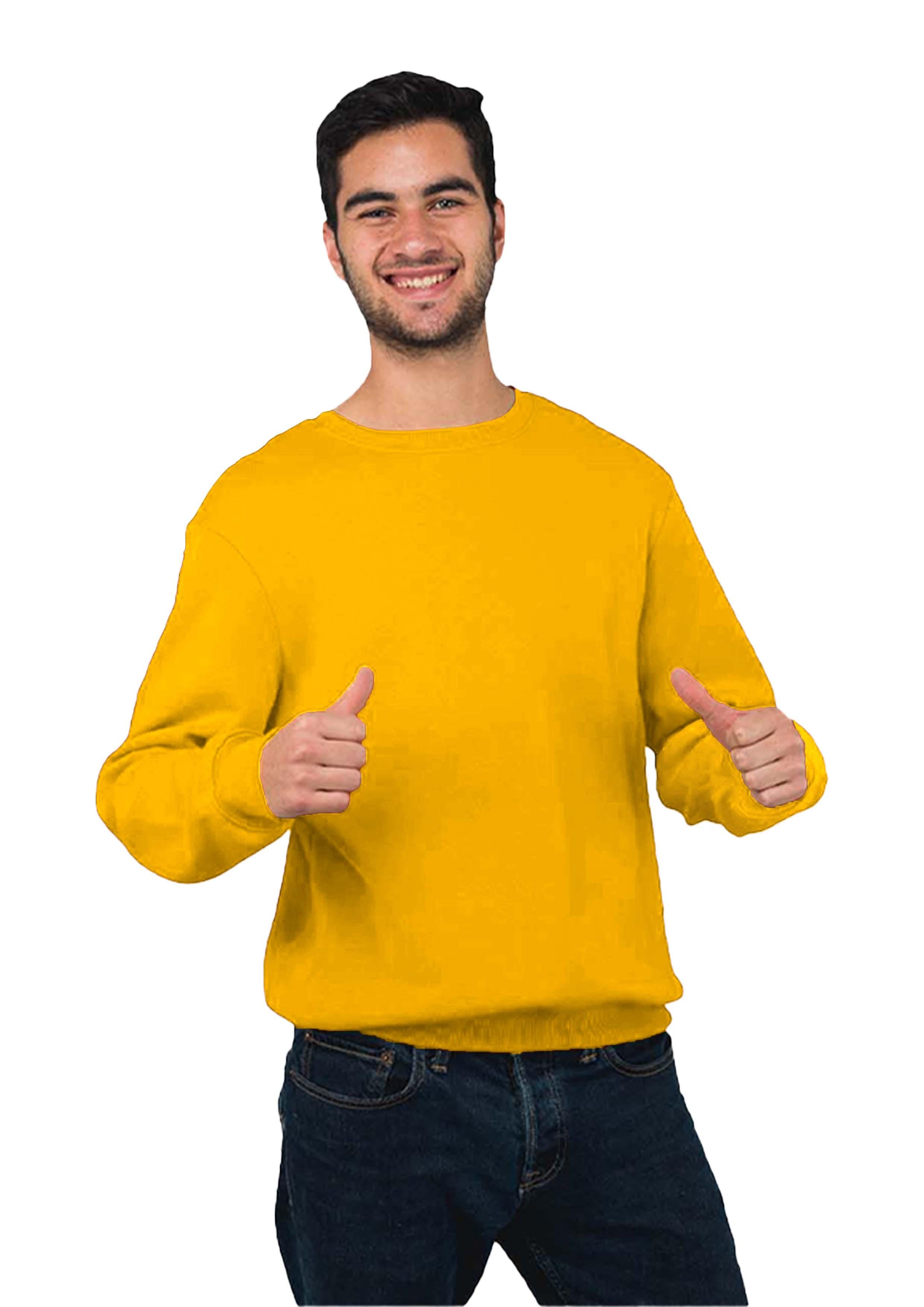 Mens Pullover - Teestra